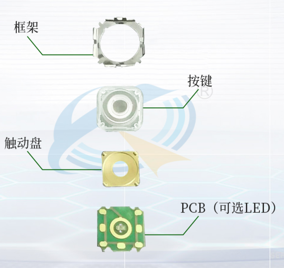 輕觸開關